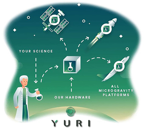 Yuri microgravity